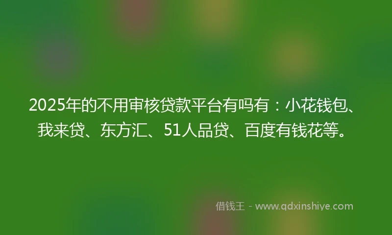 2025年的不用审核贷款平台有吗有：小花钱包、我来贷、东方汇、51人品贷、百度有钱花等。
