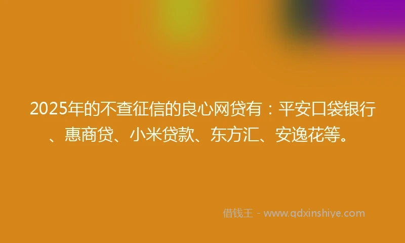 2025年的不查征信的良心网贷有：平安口袋银行、惠商贷、小米贷款、东方汇、安逸花等。