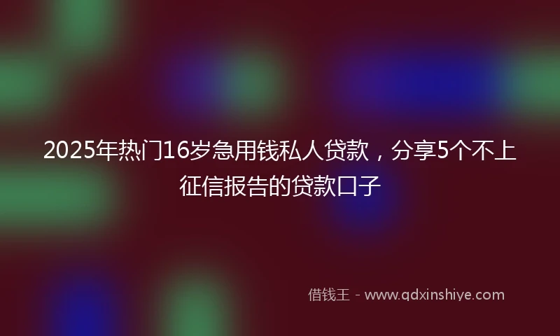 2025年热门16岁急用钱私人贷款，分享5个不上征信报告的贷款口子