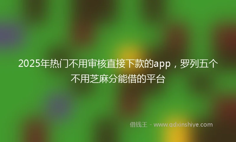 2025年热门不用审核直接下款的app，罗列五个不用芝麻分能借的平台