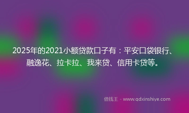 2025年的2021小额贷款口子有：平安口袋银行、融逸花、拉卡拉、我来贷、信用卡贷等。