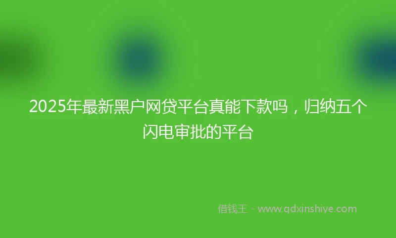 2025年最新黑户网贷平台真能下款吗，归纳五个闪电审批的平台