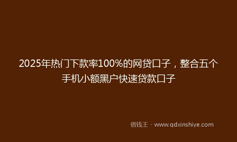 2025年热门下款率100%的网贷口子，整合五个手机小额黑户快速贷款口子