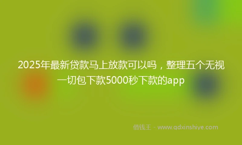 2025年最新贷款马上放款可以吗，整理五个无视一切包下款5000秒下款的app