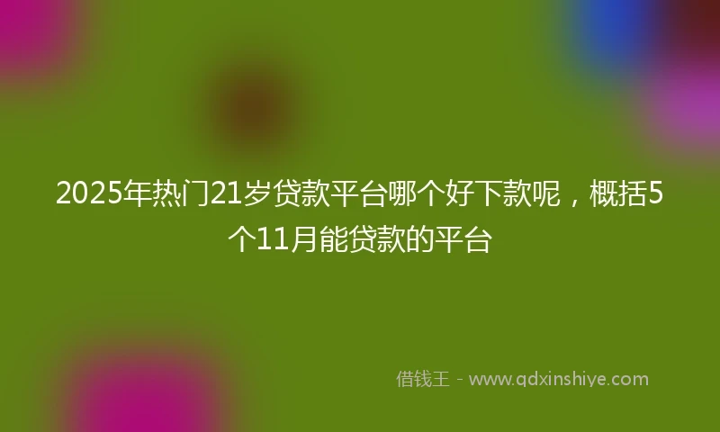 2025年热门21岁贷款平台哪个好下款呢，概括5个11月能贷款的平台