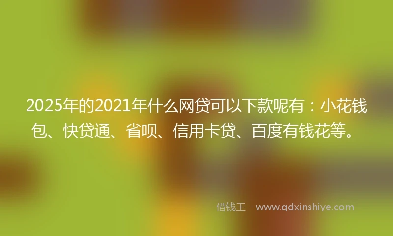 2025年的2021年什么网贷可以下款呢有：小花钱包、快贷通、省呗、信用卡贷、百度有钱花等。