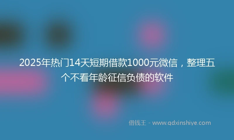 2025年热门14天短期借款1000元微信，整理五个不看年龄征信负债的软件