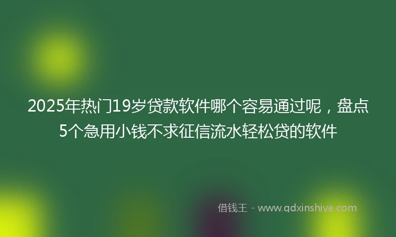 2025年热门19岁贷款软件哪个容易通过呢，盘点5个急用小钱不求征信流水轻松贷的软件
