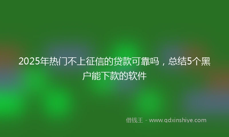 2025年热门不上征信的贷款可靠吗，总结5个黑户能下款的软件