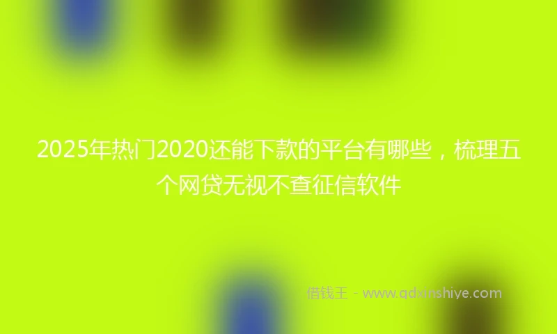 2025年热门2020还能下款的平台有哪些，梳理五个网贷无视不查征信软件
