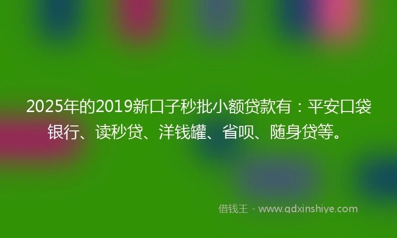 2025年的2019新口子秒批小额贷款有：平安口袋银行、读秒贷、洋钱罐、省呗、随身贷等。