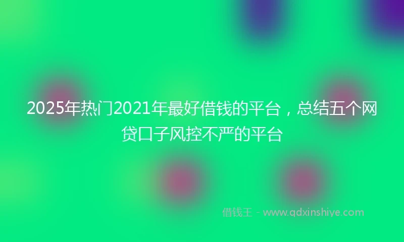 2025年热门2021年最好借钱的平台，总结五个网贷口子风控不严的平台