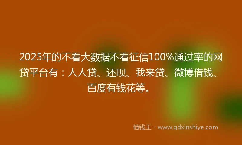 2025年的不看大数据不看征信100%通过率的网贷平台有：人人贷、还呗、我来贷、微博借钱、百度有钱花等。
