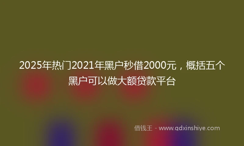 2025年热门2021年黑户秒借2000元，概括五个黑户可以做大额贷款平台