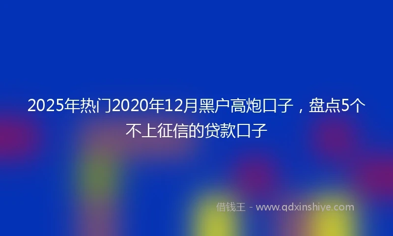 2025年热门2020年12月黑户高炮口子，盘点5个不上征信的贷款口子