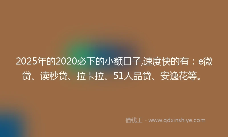 2025年的2020必下的小额口子,速度快的有：e微贷、读秒贷、拉卡拉、51人品贷、安逸花等。