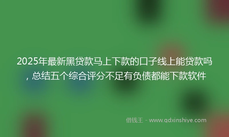 2025年最新黑贷款马上下款的口子线上能贷款吗，总结五个综合评分不足有负债都能下款软件