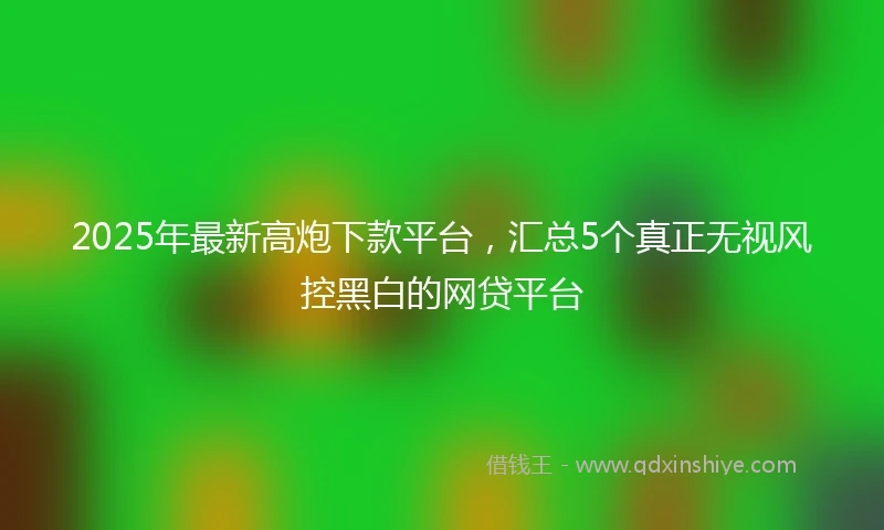 2025年最新高炮下款平台，汇总5个真正无视风控黑白的网贷平台