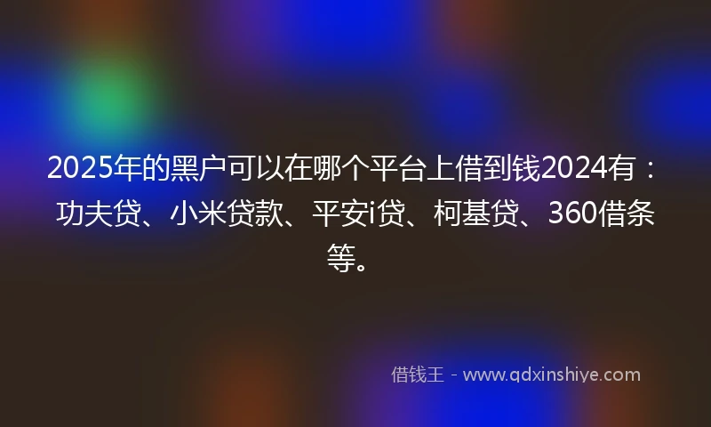 2025年的黑户可以在哪个平台上借到钱2024有：功夫贷、小米贷款、平安i贷、柯基贷、360借条等。