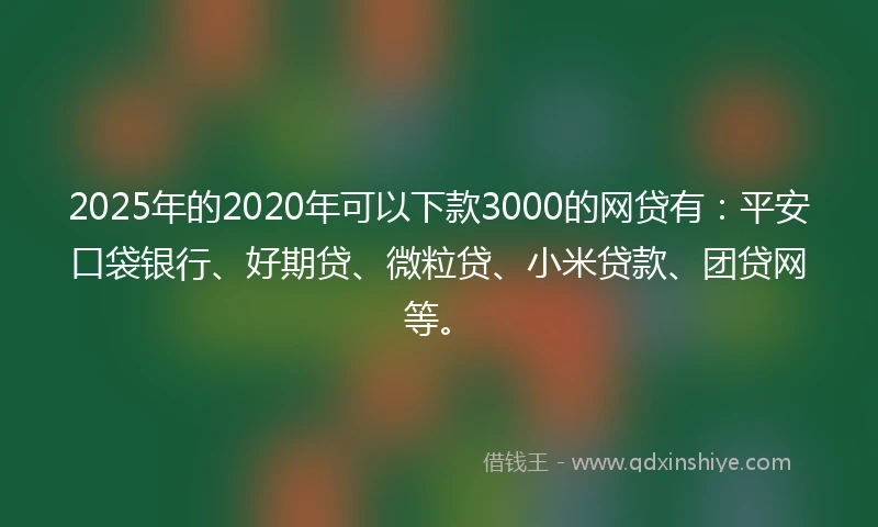 2025年的2020年可以下款3000的网贷有：平安口袋银行、好期贷、微粒贷、小米贷款、团贷网等。