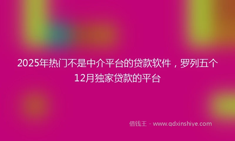 2025年热门不是中介平台的贷款软件，罗列五个12月独家贷款的平台