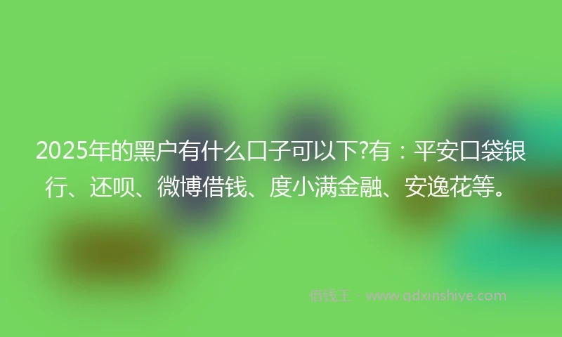 2025年的黑户有什么口子可以下?有：平安口袋银行、还呗、微博借钱、度小满金融、安逸花等。