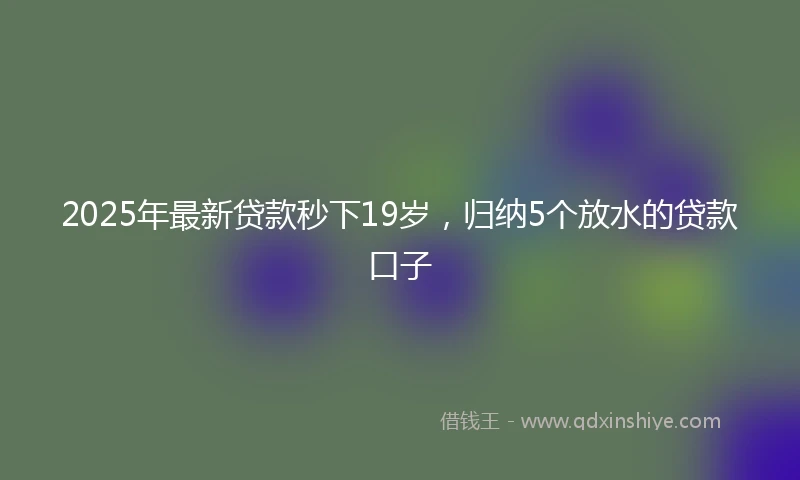 2025年最新贷款秒下19岁，归纳5个放水的贷款口子