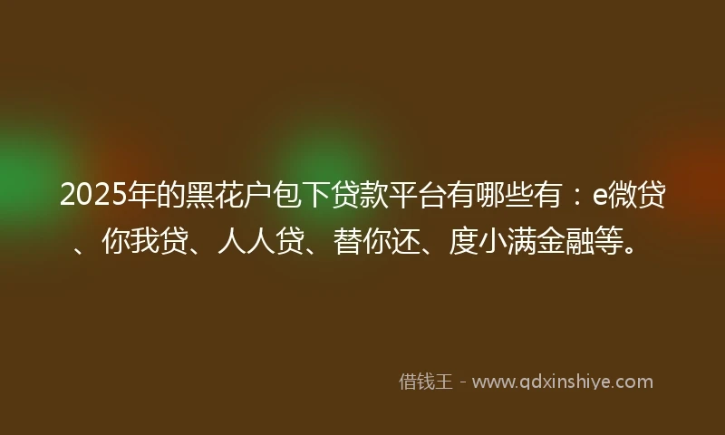 2025年的黑花户包下贷款平台有哪些有：e微贷、你我贷、人人贷、替你还、度小满金融等。