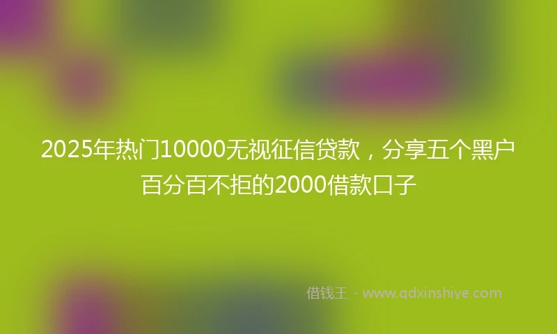 2025年热门10000无视征信贷款，分享五个黑户百分百不拒的2000借款口子
