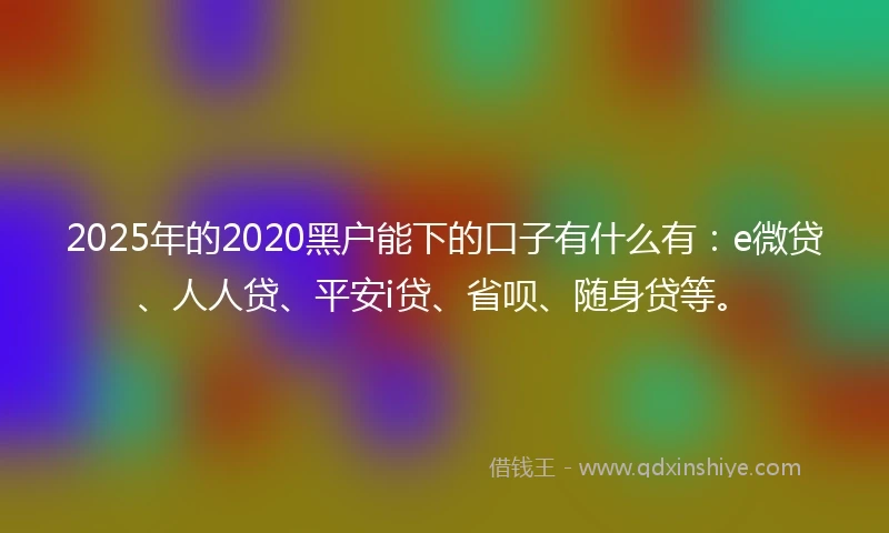 2025年的2020黑户能下的口子有什么有：e微贷、人人贷、平安i贷、省呗、随身贷等。