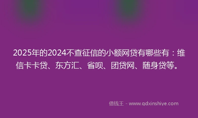 2025年的2024不查征信的小额网贷有哪些有：维信卡卡贷、东方汇、省呗、团贷网、随身贷等。