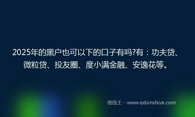 2025年的黑户也可以下的口子有吗?有：功夫贷、微粒贷、投友圈、度小满金融、安逸花等。
