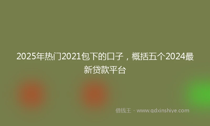 2025年热门2021包下的口子，概括五个2024最新贷款平台
