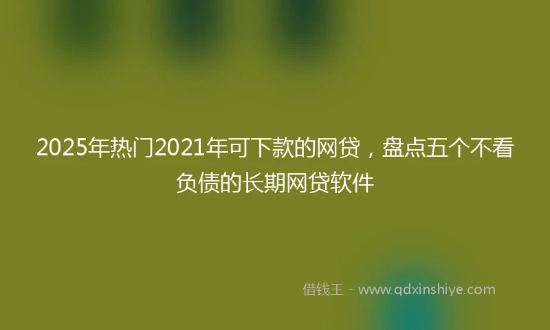 2025年热门2021年可下款的网贷，盘点五个不看负债的长期网贷软件