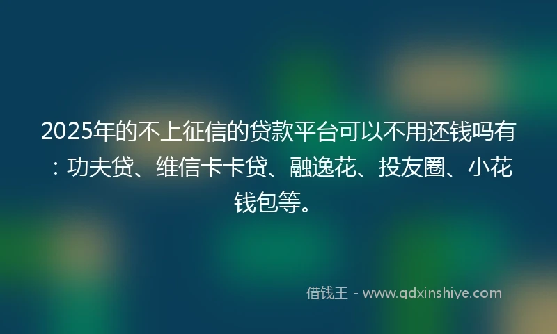 2025年的不上征信的贷款平台可以不用还钱吗有：功夫贷、维信卡卡贷、融逸花、投友圈、小花钱包等。