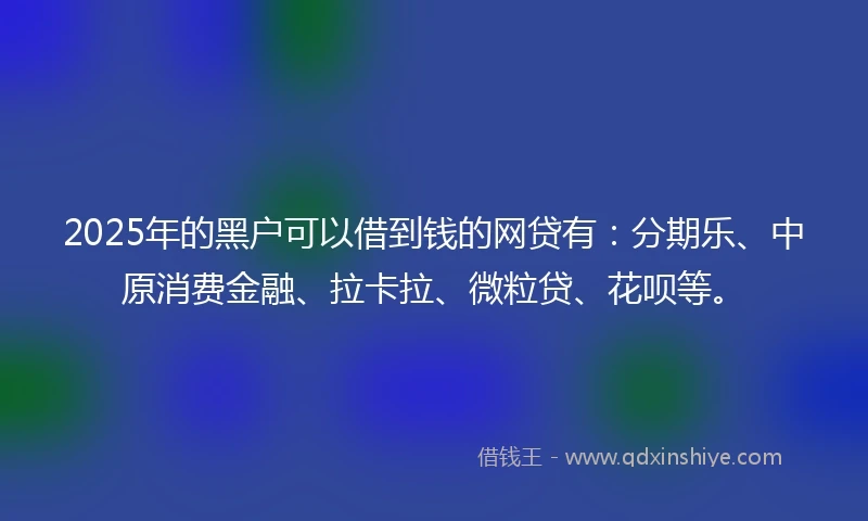 2025年的黑户可以借到钱的网贷有：分期乐、中原消费金融、拉卡拉、微粒贷、花呗等。