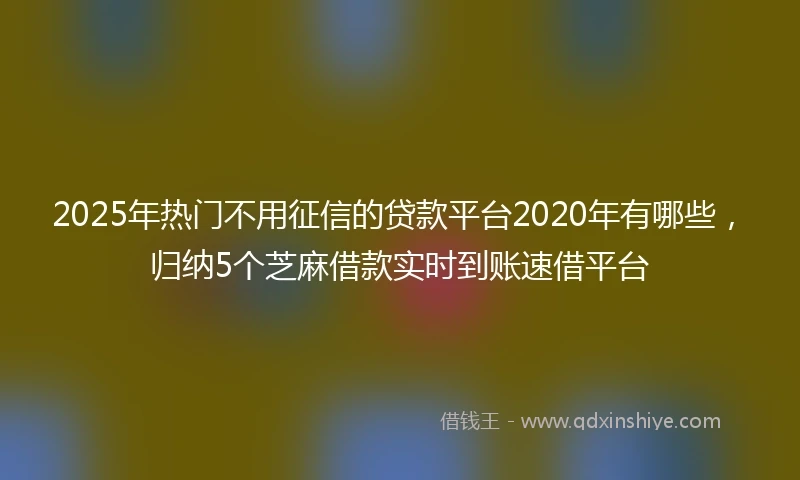 2025年热门不用征信的贷款平台2020年有哪些，归纳5个芝麻借款实时到账速借平台