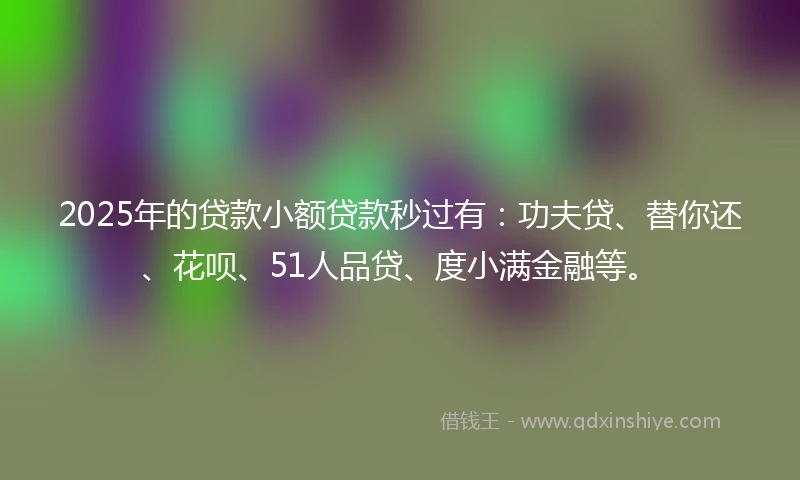 2025年的贷款小额贷款秒过有：功夫贷、替你还、花呗、51人品贷、度小满金融等。