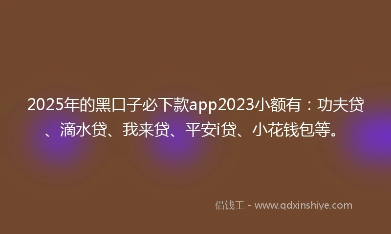 2025年的黑口子必下款app2023小额有：功夫贷、滴水贷、我来贷、平安i贷、小花钱包等。