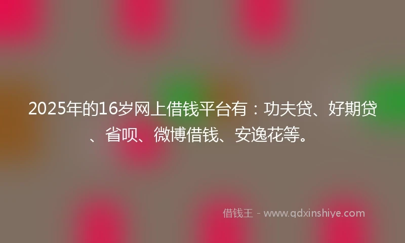 2025年的16岁网上借钱平台有：功夫贷、好期贷、省呗、微博借钱、安逸花等。