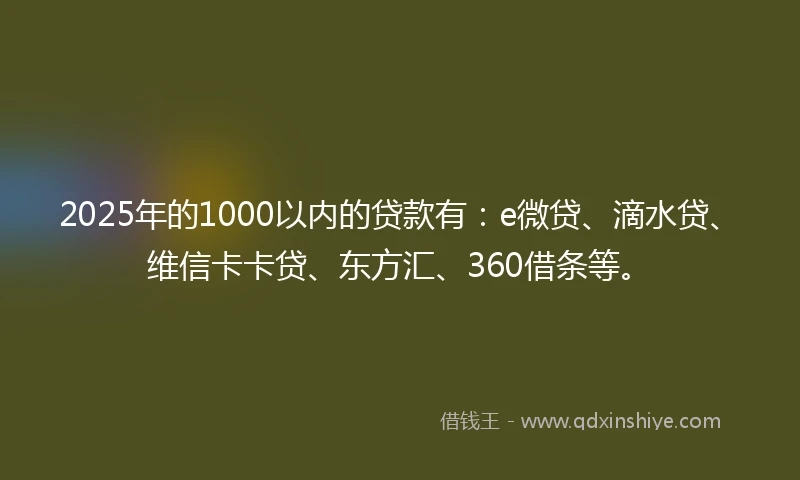 2025年的1000以内的贷款有：e微贷、滴水贷、维信卡卡贷、东方汇、360借条等。