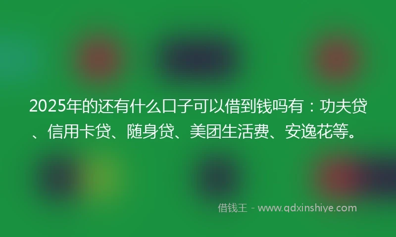 2025年的还有什么口子可以借到钱吗有：功夫贷、信用卡贷、随身贷、美团生活费、安逸花等。