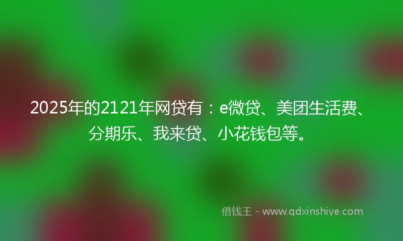 2025年的2121年网贷有：e微贷、美团生活费、分期乐、我来贷、小花钱包等。