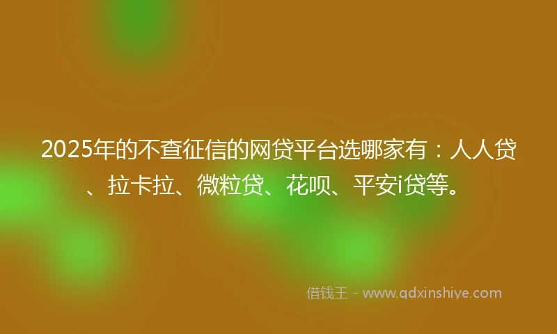 2025年的不查征信的网贷平台选哪家有：人人贷、拉卡拉、微粒贷、花呗、平安i贷等。
