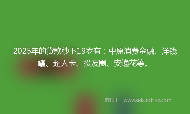 2025年的贷款秒下19岁有：中原消费金融、洋钱罐、超人卡、投友圈、安逸花等。