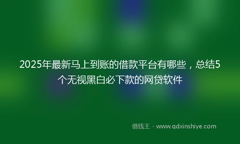 2025年最新马上到账的借款平台有哪些，总结5个无视黑白必下款的网贷软件