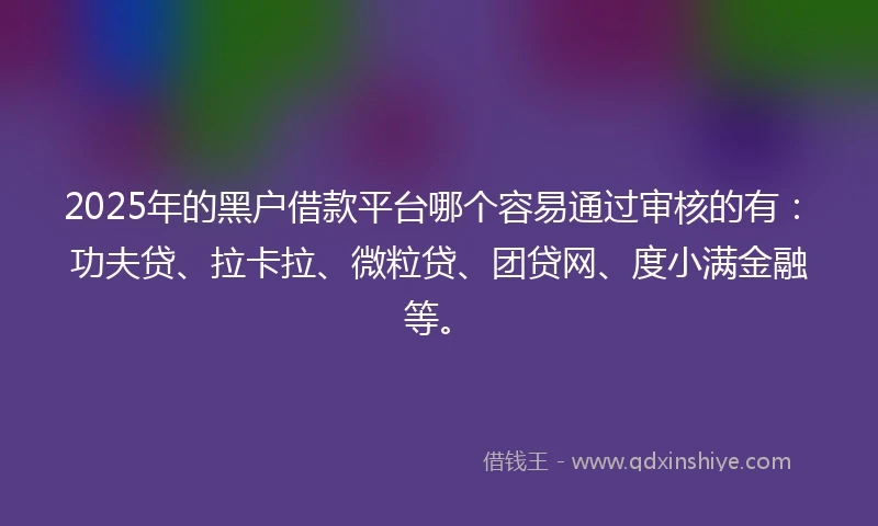 2025年的黑户借款平台哪个容易通过审核的有：功夫贷、拉卡拉、微粒贷、团贷网、度小满金融等。