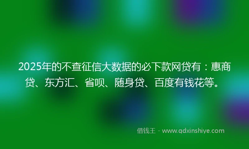 2025年的不查征信大数据的必下款网贷有：惠商贷、东方汇、省呗、随身贷、百度有钱花等。