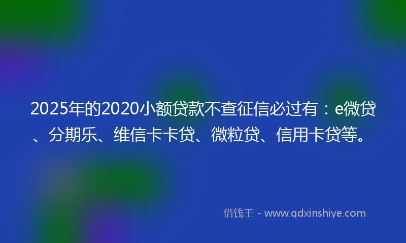 2025年的2020小额贷款不查征信必过有：e微贷、分期乐、维信卡卡贷、微粒贷、信用卡贷等。