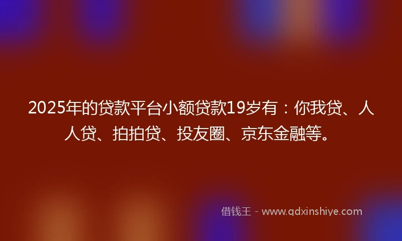 2025年的贷款平台小额贷款19岁有：你我贷、人人贷、拍拍贷、投友圈、京东金融等。